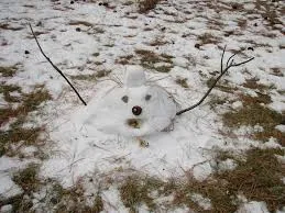 snow and ginger - 4
