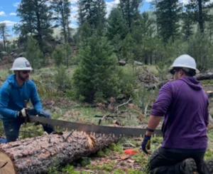 Read more about the article GUEST: When Logs Attack – Becoming a Wilderness Sawyer